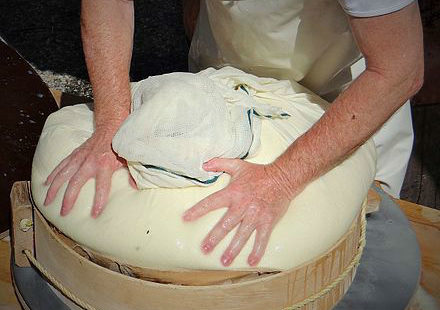 Le fromage protégerait des allergies !