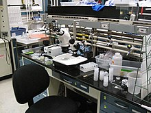 Le Conseil de l’innovation érige la bio-production de protéines en « priorité »