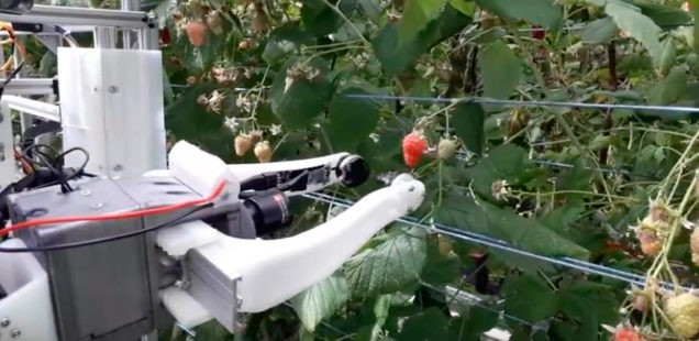 Robocrop : Le robot cueilleur qui crève l’écran outre Manche !