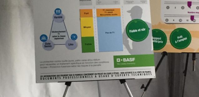 BASF : Le nouveau fongicide Revysol devrait arriver en France pour la campagne 2019-2020