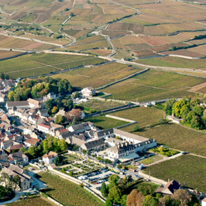 Un syndicat somme l’INRA « d’assumer sa responsabilité » dans la mort d’une employée
