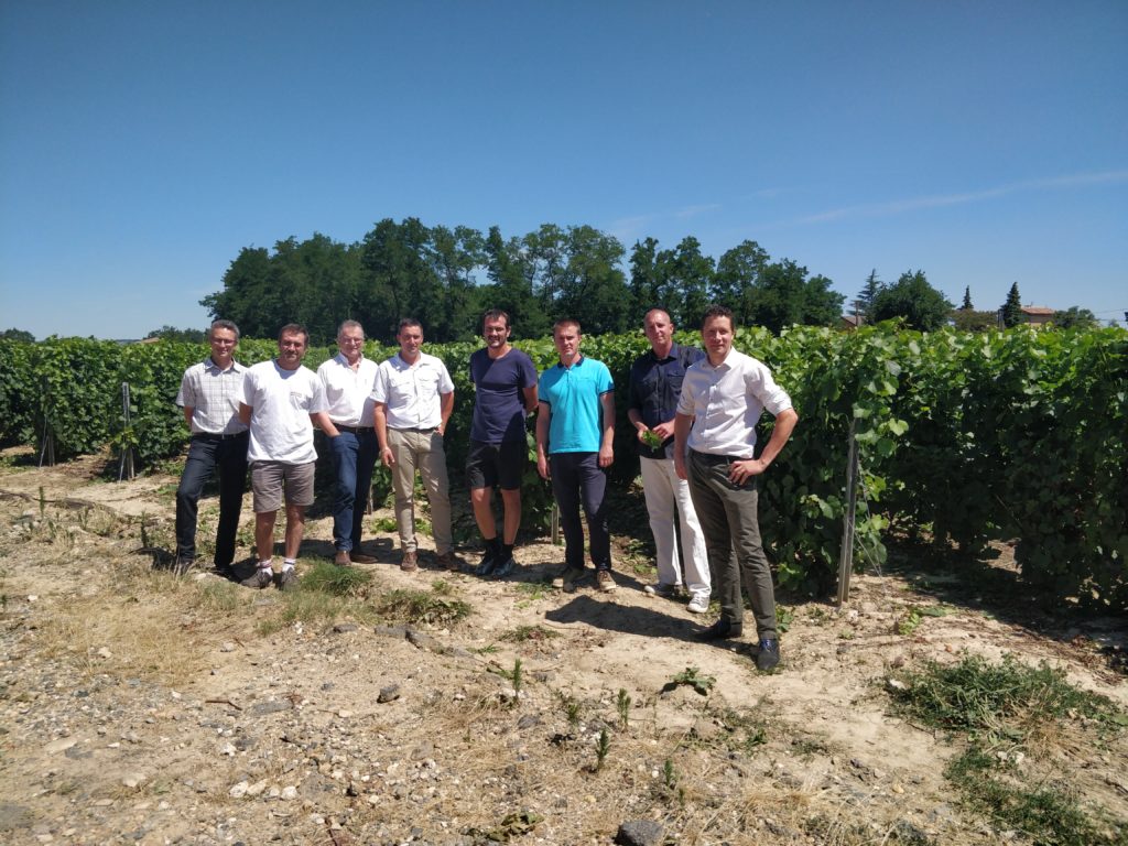 « Roméo », le produit de biocontrôle de BASF qui fait la cour aux ...