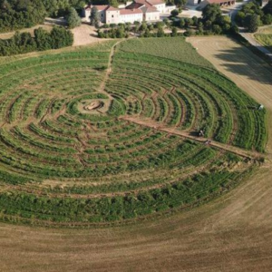 Le verger circulaire est-il viable sur le moyen terme ?