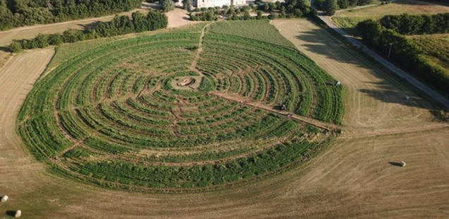 Le verger circulaire est-il viable sur le moyen terme ?