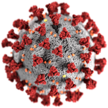 La crise sanitaire liée au coronavirus accentuerait les déséquilibres sur les marchés agricoles