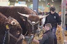 L’édition 2021 du Salon de l’Agriculture est annulée