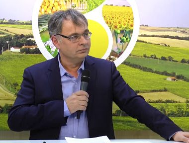 IBMA France : « Comment atteindre 30 % du marché en 2030 ? »