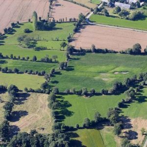 L’azote : un élément clé pour le développement de l’agriculture biologique