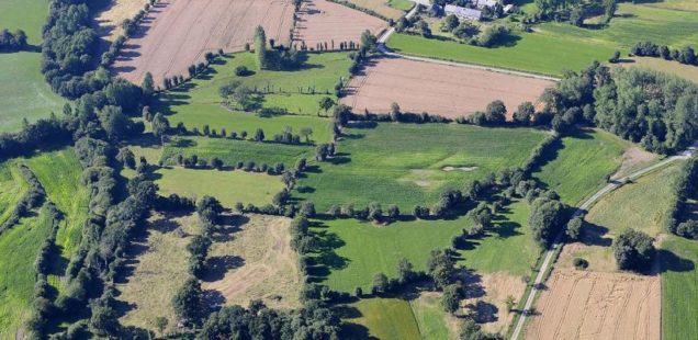 L’azote : un élément clé pour le développement de l’agriculture biologique