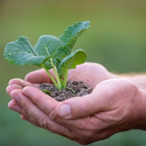 BASF poursuit ses avancées sur la voie agroécologique