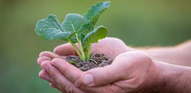 BASF poursuit ses avancées sur la voie agroécologique