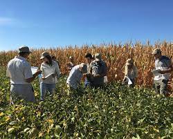 Agrauxine et Sumi Agro France nouent un partenariat