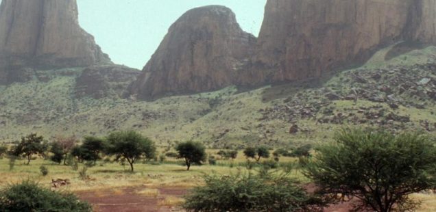 Une étude révolutionnaire révèle les stocks de carbone des 10 milliards d’arbres des régions sèches d’Afrique subsaharienne